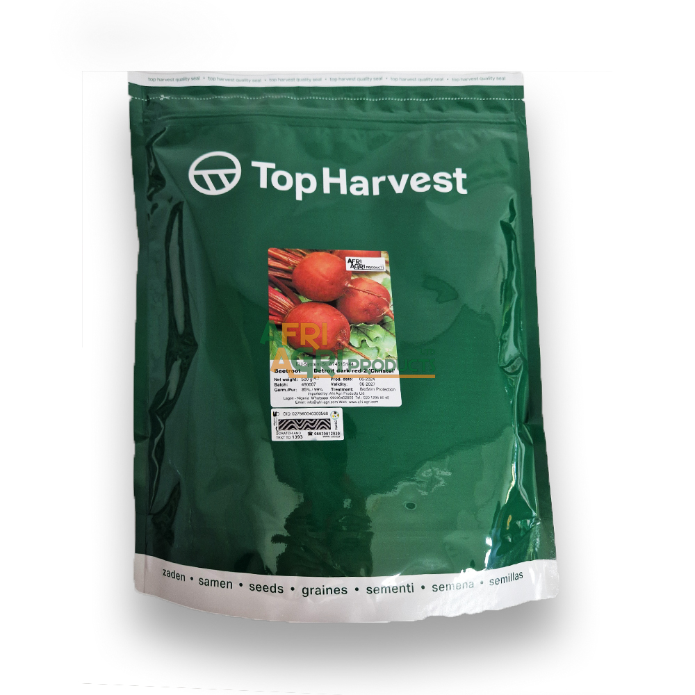 Beetroot Detroit Dark Red 2 (500g)