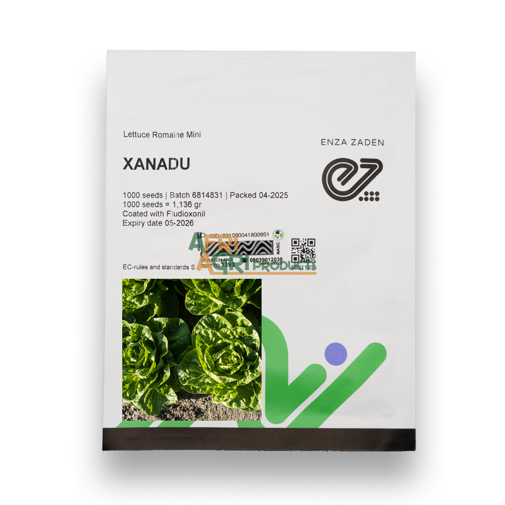 Lettuce Romaine Xanadu (1,000)