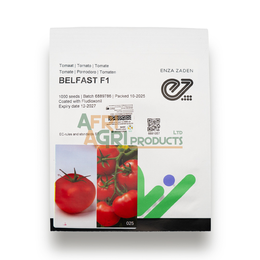 [TT-0225D] Tomato Belfast F1 (1,000)