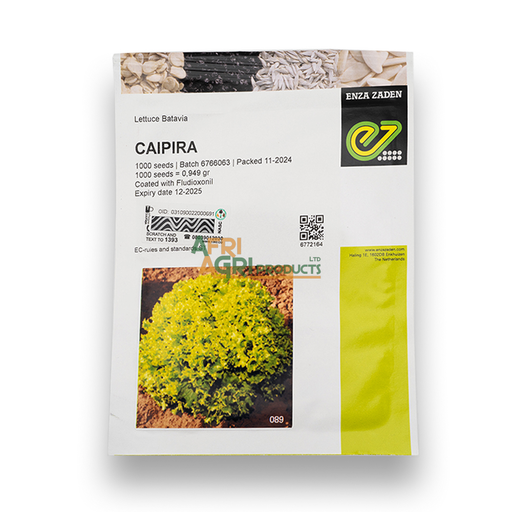 [TT-0012D] Lettuce Caipira (1,000)