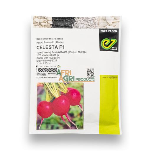 [TT-0264G] Radish Celesta F1 (10,000)
